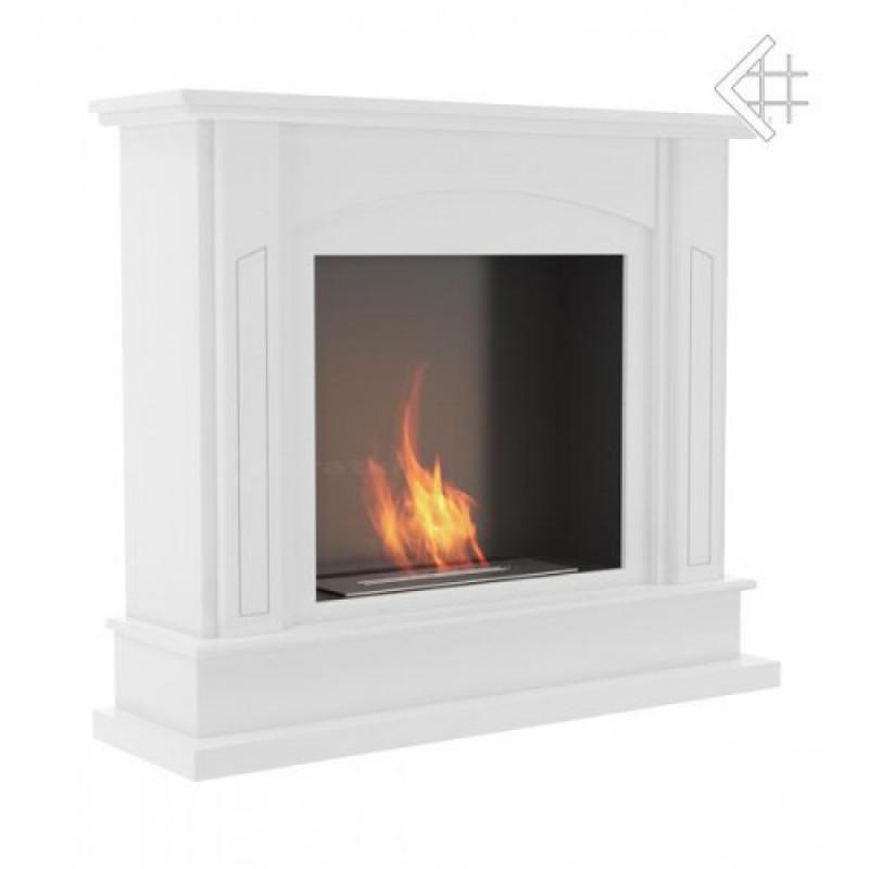 Биокамин February