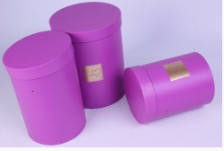 Коробка(B47) Цилиндр высокий Flower 3в1