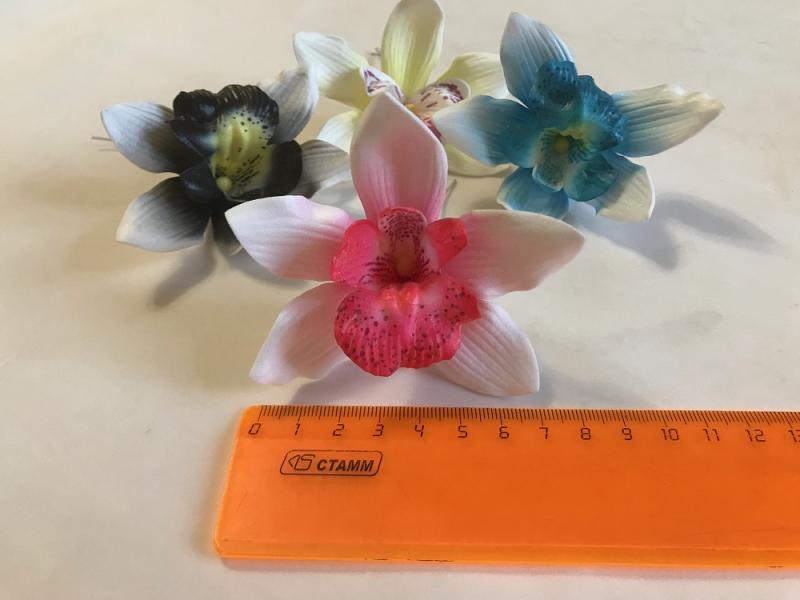 Цимбилиум средний 6см 36шт/уп Тайланд