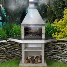 БАРБЕКЮ ANORA L