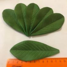 Зелень искуственная Тайланд лист из каучука