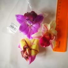 Орхидея XL №2 треугольная 8см пр. Тайланд