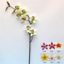 Орхидея мелкая 7цв. 76см (TC050006) SJ3
