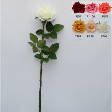 Роза открытая 68см (TC060040) SD68