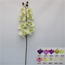 Фаленопсис 104см TC970053А (MB28)