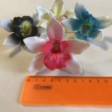 Цимбилиум средний 6см 36шт/уп Тайланд